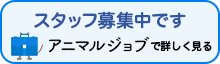 スタッフ募集中です