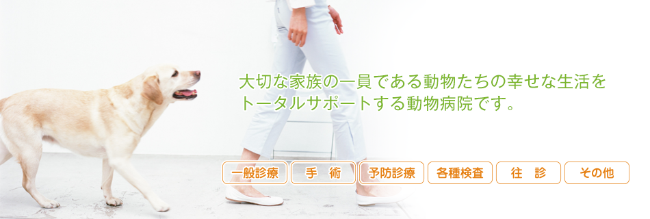 大切な家族の一員である動物たちの幸せな生活を トータルサポーする動物病院です。