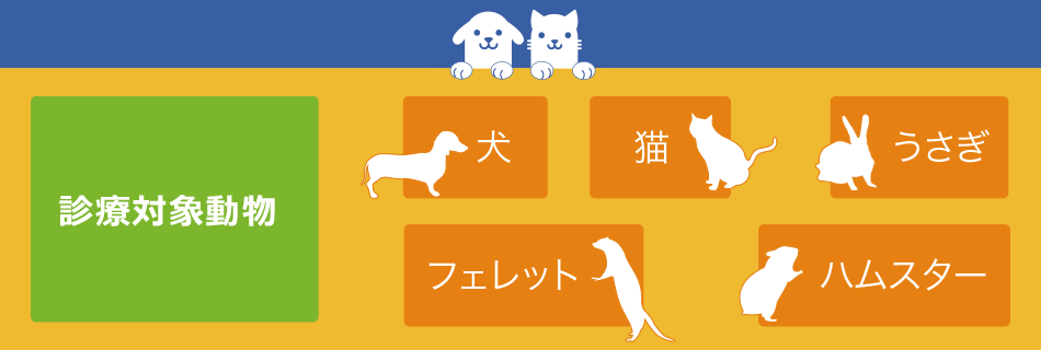 診療対象動物 犬、猫、フェレット、うさぎ、ハムスター