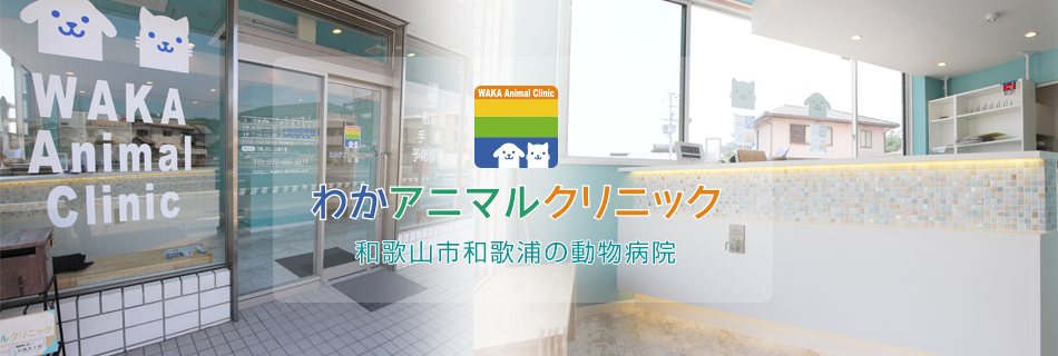和歌山市和歌浦の動物病院「わかアニマルクリニック」